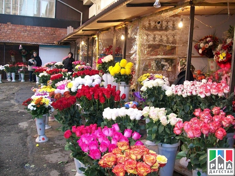 Где Можно Купить Цветы Махачкале