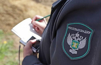 Более 1 млн штрафов наложили в Дагестане за нарушения в сфере пользования землей