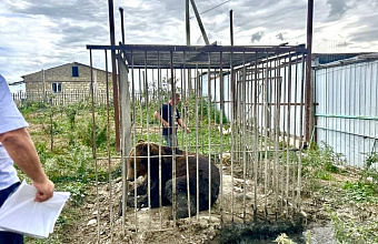 В Дагестане суд постановил изъять более 40 диких животных из частного зоопарка