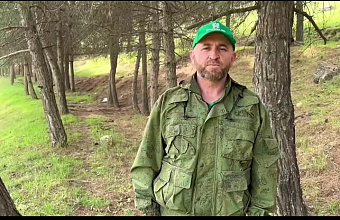 Руководитель Даглесхоза призвал жителей республики не поджигать траву вблизи лесных массивов