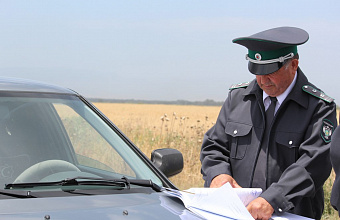 Власти 80 сёл в Дагестане наказали за выявленные очаги распространения опасных сорняков