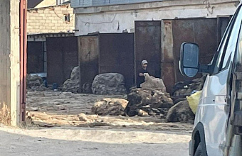 В Каспийске приостановлена работа предприятия по переработке овечьих шкур по сигналу ЦУР