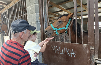 Для воспитанников Реабилитационного центра Избербаша провели курс по иппотерапии