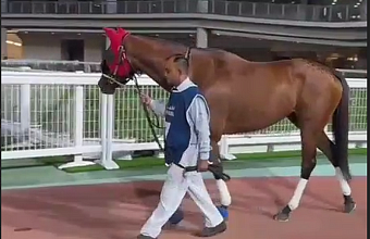 Дагестанский скакун стал призером элитного турнира в Дубае