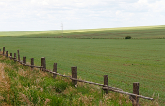 ФНС: «Размеры ставок по земельным налогам утверждаются органами власти на местах»