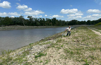 Дагмелиоводхоз проводит очистку от кустарников магистрального оросительного канала