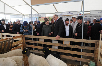 Абдулмуслим Абдулмуслимов преподнес муфтию Дагестана символический подарок на полях Российской выставки овец и коз