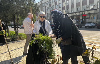 Сотрудники Минтруда Дагестана приняли участие в общегородском субботнике