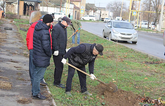 По инициативе «Единой России» в Избербаше прошла акция по посадке деревьев