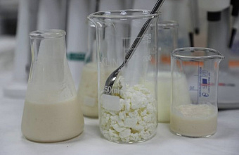 Россельхознадзор Дагестана выявил производство молочной продукции из «несуществующего» сырья