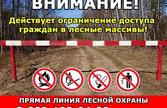 Даглесхоз ввел ограничения на посещение лесов