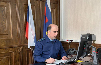 Уголовное дело по факту нападения бродячих собак на ребенка в Хасавюрте направлено в суд