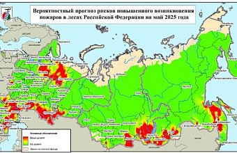 «Авиалесоохрана» назвала риски и возможные зоны возникновения пожаров в Дагестане