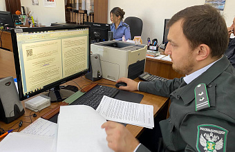 В Дагестане Россельхознадзором признаны недействительными декларации о соответствии на 300 тысяч тонн зерна