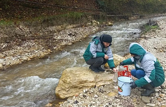 В Дагестане наложено более 40 млн рублей штрафов за нарушения в сфере экологии
