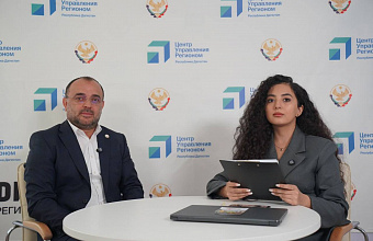 Буйнакск потратил 6,6 млн рублей на отлов безнадзорных собак