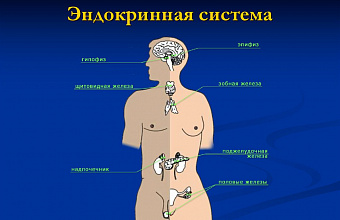 В Дагестане 70 тысяч пациентов с эндокринными заболеваниями