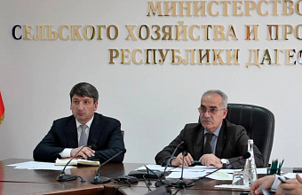 Более 100 млн рублей направлено на реализацию госпрограммы «Комплексное развитие сельских территорий» в Дагестане в 2025 году
