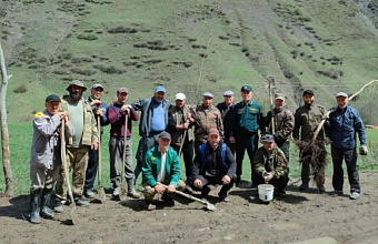Более 600 деревьев высадят в Дагестане в память о героях СВО и Великой Отечественной войны