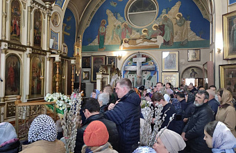 В Дагестане православные отмечают Вербное воскресенье