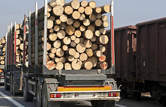 Свыше 200 нарушений при перевозке лесоматериала в Дагестане выявлено Россельхознадзором