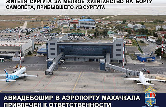 Полицейские привлекли к ответственности авиадебошира в аэропорту Махачкалы