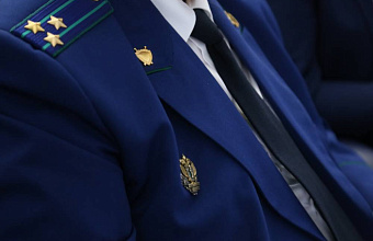 Жителя Дагестана будут судить за незаконную рубку деревьев