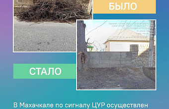 Почти 2000 обращений за неделю: ЦУР Дагестана назвал главные проблемы жителей