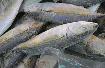 Директор организации в Дагестане пойдет под суд за хранение 16 тонн немаркированной рыбы