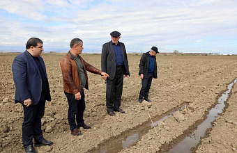 Новые виноградники на 75 га заложили в Дербентском районе Дагестана