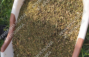 Более 2 кг марихуаны обнаружили в доме жителя Дагестана