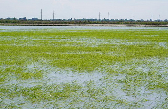 Дагестан в 2023 году реализовал более 20 проектов в мелиорации на площади 4 тыс. га