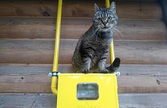 В Дагестане начали внедрять  цифровой учёт газа для предприятий