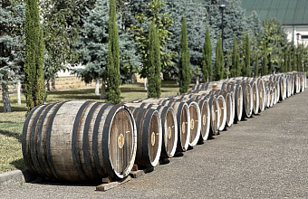 Коньячный завод Дагестана на 4% увеличил производство продукции