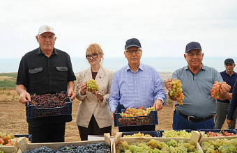 В дагестанском селе Джалган реализуют масштабный инвестпроект по закладке 330 га виноградников
