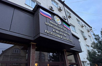 Минприроды Дагестана подсчитало ущерб от вырубки тополей вблизи больницы Махачкалы