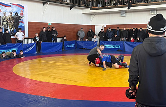 Соревнования по панкратиону среди молодежи прошли в Южно-Сухокумске