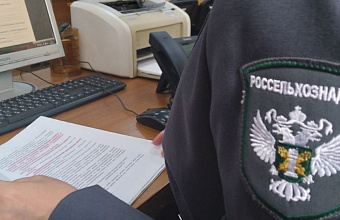 В Дагестан с нарушениями завезли сельхозпродукцию из Казахстана