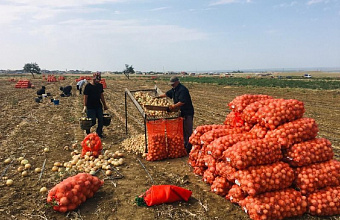 Дагестан к 2025 году в 1,4 раза планирует увеличить мощности плодоовощехранилищ