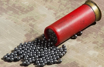 В Дагестане мужчина, пытаясь напугать бродячую собаку, ранил дробью племянника