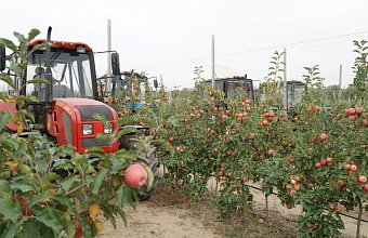 Дагестан стал лидером по закладке новых садов в России