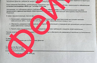 ЦУР РД опроверг фейк об «обязательной установке» мессенджера «МАХ»