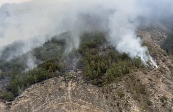 Абдулмуслим Абдулмуслимов вместе с главой МЧС посетит места пожаров