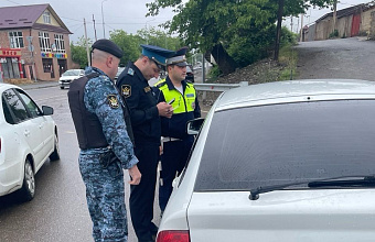 Дагестанец оплатил более 160 штрафов ГИБДД, чтобы не остаться без автомобиля