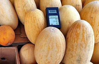 В одном из супермаркетов Махачкалы выявили бахчевые с повышенным содержанием нитратов