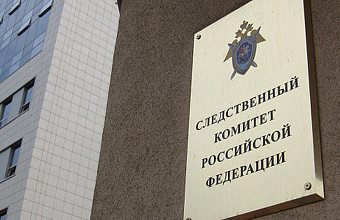 Бастрыкин взял на контроль проверку по факту неисполнения отлова бродячих собак в Каспийске