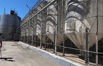 Высокотехнологичный комплекс приемки и переработки винограда запустил Кизлярский коньячный завод