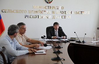 Дагестан намерен собрать урожай овощей и зерновых с 86 тысяч гектаров сельхозугодий