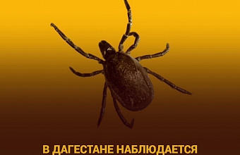 В Дагестане наблюдается повышенная активность клещей – Роспотребнадзор