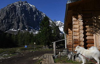 В России запустят эксперимент по легализации гостевых домов